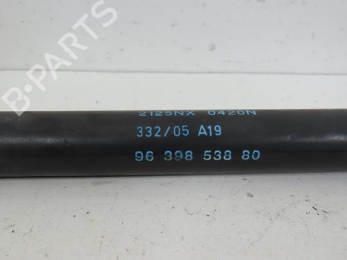 Tailgate lift support CITROËN C3 I (FC_, FN_) 1.6 16V HDi | BP16782123C138 
