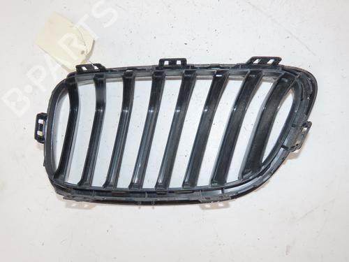 Used Grille Grille 36790026 36790026