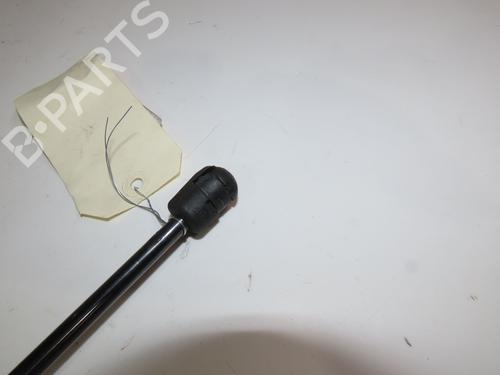 Used Tailgate lift support VW TOURAN (1T1, 1T2) 1.9 TDI (105 hp) 18824824