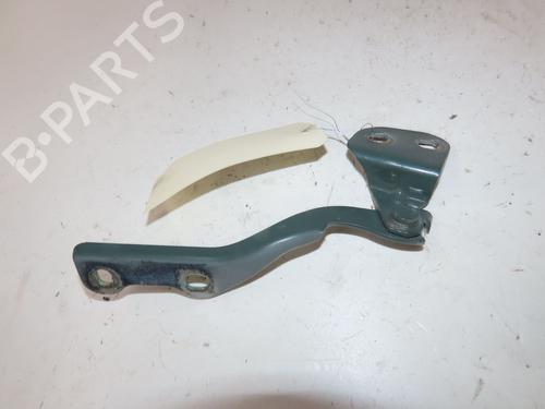 hingedoor-check-strap-dacia-spring-2020-36849736 main image