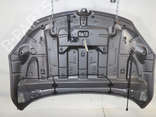 hood-renault-megane-iii-hatchback-bz01_-b3_-2008-39419062 main image