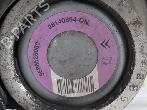 Steering pump PEUGEOT 206 Hatchback (2A/C) 1.4 i | BP28594037M99