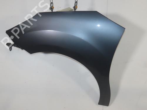 Left front fenders CITROËN C3 II (SC_) 1.4 | BP32038466C41 