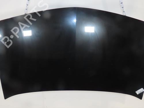 Hood RENAULT MEGANE II (BM0/1_, CM0/1_) 2.0 dCi | BP29137164C1 