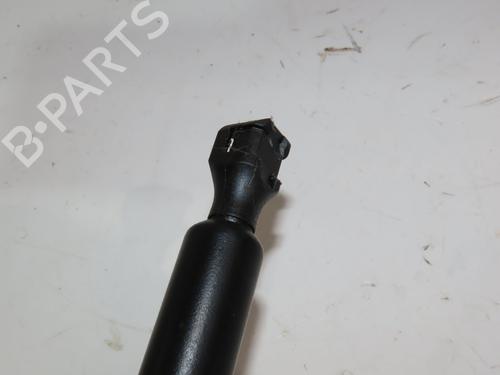 Tailgate lift support RENAULT TWINGO I (C06_) 1.2 16V (C06C, C06D, C06K) | BP18646550C138 