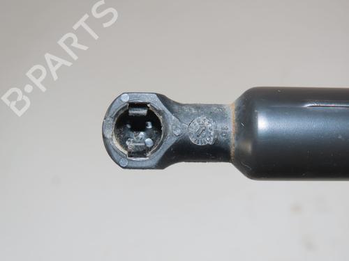 Used Tailgate lift support RENAULT SCÉNIC III (JZ0/1_) 1.5 dCi (110 hp) 31078181