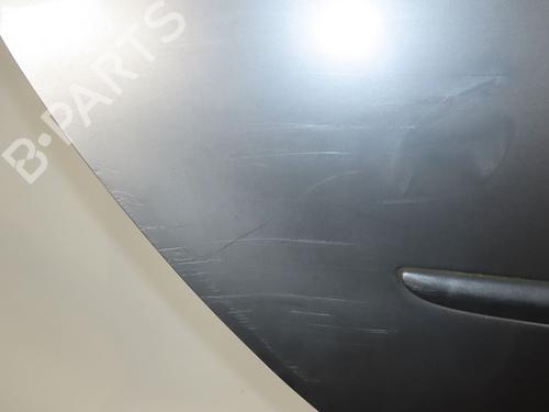 Used Right rear door RENAULT CLIO III (BR0/1, CR0/1) 1.5 dCi (75 hp) 23447859