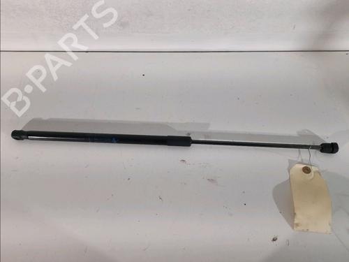 Used Hood lift support DACIA DUSTER (HS_) 1.5 dCi (109 hp) 14897758