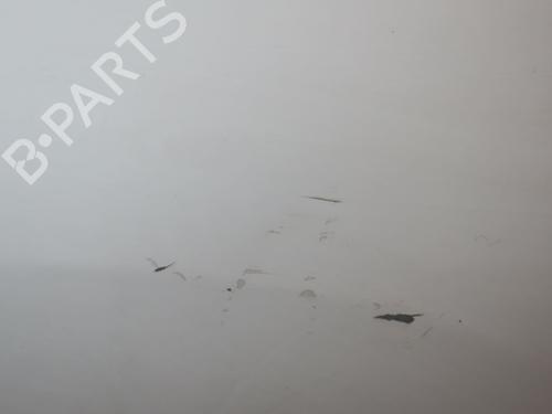 Aleta delantera izquierda CITROËN JUMPY II Van 1.6 HDi 90 16V (90 hp) 27975846