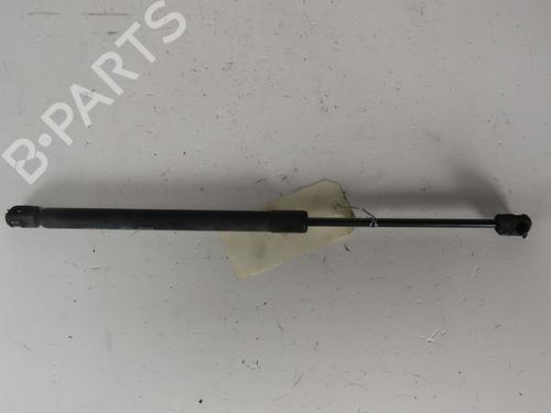 Tailgate lift support HYUNDAI SANTA FÉ II (CM) 2.2 CRDi 4x4 | BP29963054C138