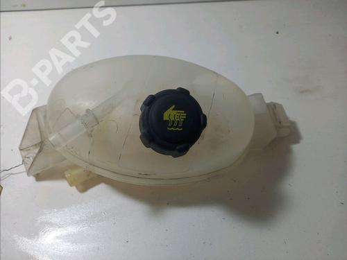 Used Expansion tank Expansion tank RENAULT MASTER III Platform/Chassis (EV, HV, UV) 2.3 dCi 165 RWD (HV0P, HV0U, HV10, HV12, UV0P, UV0U,... (163 hp) 10045322 10045322