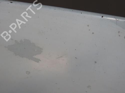 Used Hood RENAULT TRAFIC II Van (FL) 1.9 dCi 100 (FL0C, FL0K, FL0B) (101 hp) 10314158