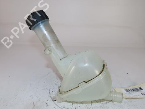 Expansion tank RENAULT ARKANA I (LCM_, LDN_) 1.6 E-TECH 145 (LDMU) | BP29442327C120 
