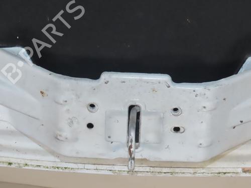 Capot FORD TRANSIT CONNECT V408 Box Body/MPV 1.6 TDCi (75 hp) 31911818