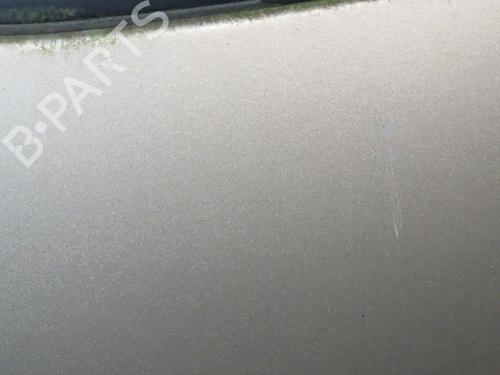Left front door NISSAN ALMERA II Hatchback (N16) 2.2 dCi | BP25015393C2 