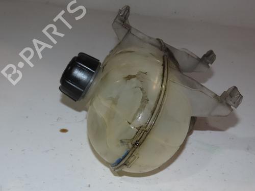 Ekspansjonstank RENAULT TRAFIC III Van (FG_) 1.6 dCi 125 (FGMH) (125 hp) 28086637