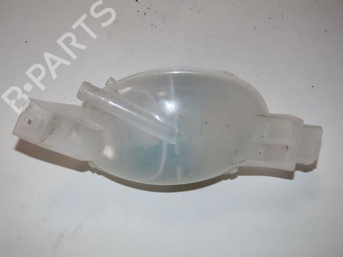 Ekpansionstank RENAULT MASTER III Van (FV) 2.3 dCi 135 FWD (FV0N, FV08, FV06, FV00) (136 hp) 28136610