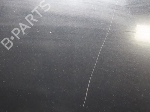 Hood FORD KUGA I 2.0 TDCi | BP29196355C1 