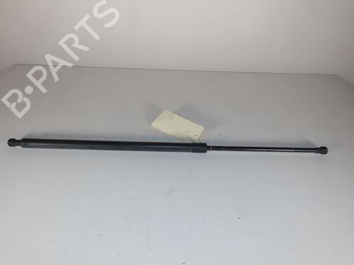 Tailgate lift support RENAULT SCÉNIC III (JZ0/1_) 1.5 dCi | BP30825234C138