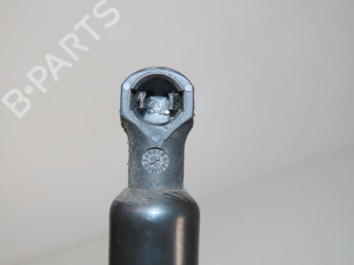 Heckklappendämpfer für RENAULT MODUS / GRAND MODUS (F/JP0_) 1.5 dCi (FP0E, JP0E) (65 hp) 31277449