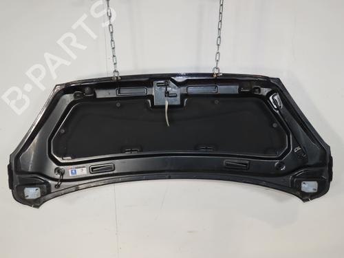 Used Hood Hood PEUGEOT 1007 (KM_) 1.4 HDi (68 hp) 33970819 33970819