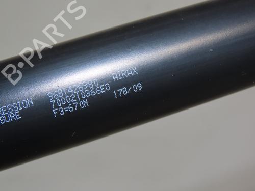 tailgate-lift-support-peugeot-partner-tepee-2008-23164236 main image