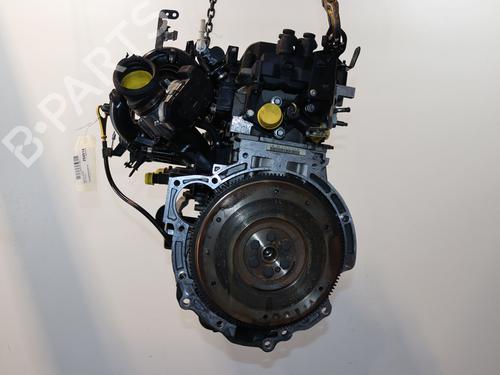 Motor FORD FIESTA VI (CB1, CCN) 1.25 (60 hp) 24486293