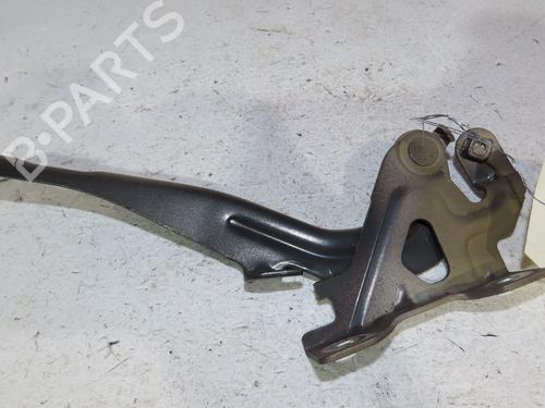 Hinge/Door check strap CHEVROLET SPARK (M300) 1.0 | BP24118015C146