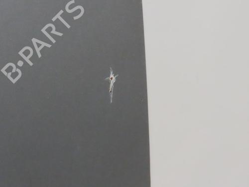 Used Tailgate OPEL COMBO Box Body/MPV 1.3 CDTI 16V (75 hp) 27489646