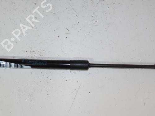 Gassdemper Bakluke RENAULT TWINGO II (CN0_) 1.2 16V (CN04, CN0B) (75 hp) 29469373