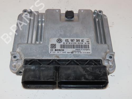 Used Engine control unit (ECU) VW TIGUAN (5N_) 2.0 TDI 4motion (140 hp) 29819041