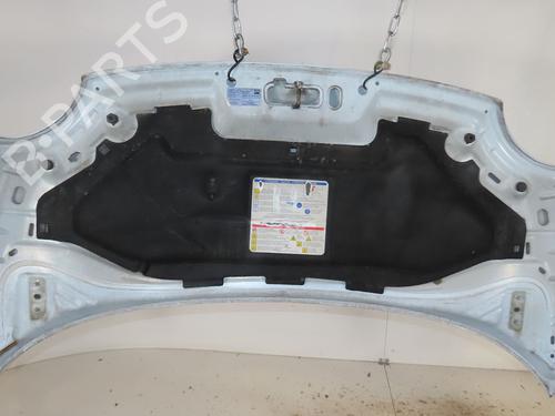 Hood FIAT 500 (312_) 1.2 (312AXA1A) | BP26917301C1 
