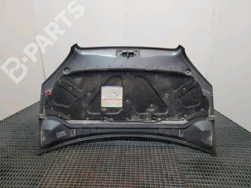 Hood FIAT DOBLO Box Body/MPV (223_) 1.3 D Multijet | BP9029180C1 