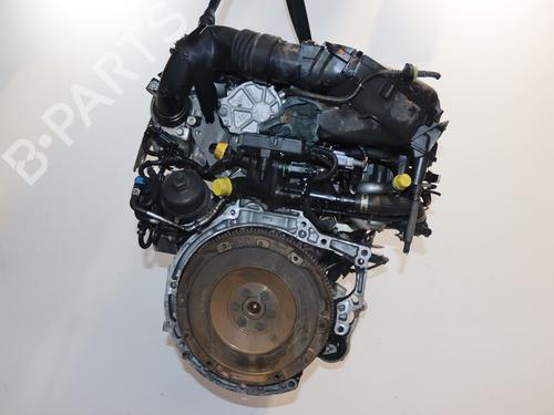Used Engine CITROËN BERLINGO Box Body/MPV (B9) 1.6 HDi / BlueHDi 75 (75 hp) 28068075