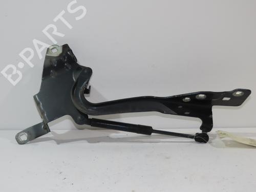 Used Hinge/Door check strap RENAULT SCÉNIC III (JZ0/1_) 1.9 dCi (JZ0J, JZ1J, JZ1K, JZ1S) (131 hp) 14960272