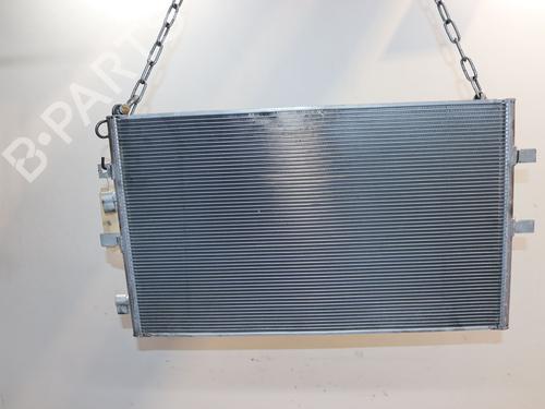 Heater matrix RENAULT MEGANE E-TECH SUV EV60 (BNJ1) | BP29494454M63 