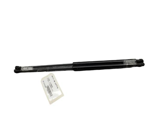 Tailgate lift support NISSAN X-TRAIL I (T30) 2.2 Di 4x4 | BP25103809C138 