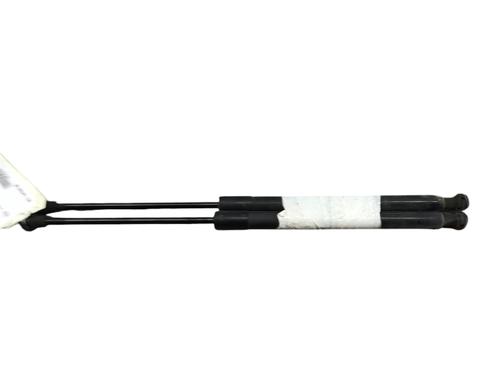 Tailgate lift support RENAULT CLIO IV (BH_) 1.5 dCi 75 | BP25220923C138 