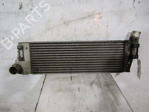 Intercooler RENAULT MEGANE II Estate (KM0/1_)  | BP29186294M30 