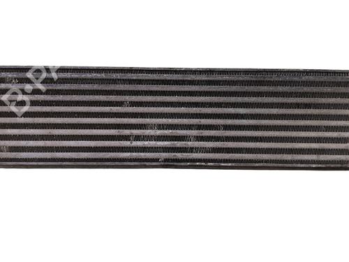 Intercooler LANCIA DELTA III (844_) 1.6 D Multijet (844.AXC11, 844.AXC1A) | BP28321437M30
