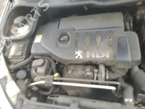 Expansion tank PEUGEOT 206 Hatchback (2A/C)  | BP25062324C120 