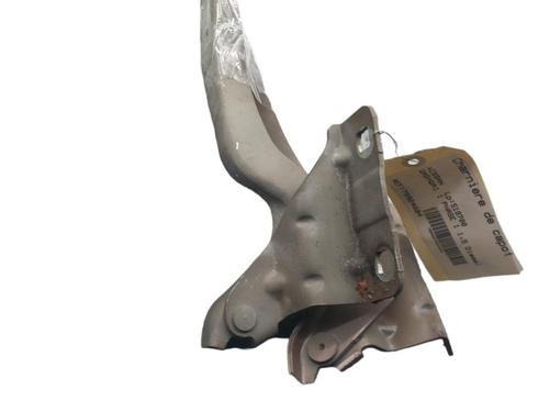 Hinge/Door check strap NISSAN QASHQAI / QASHQAI +2 I (J10, NJ10, JJ10E) 1.5 dCi | BP25058822C146 
