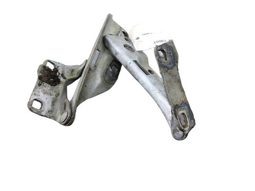 Used Hinge/Door check strap NISSAN PATHFINDER III (R51) [2005-2025]  25100045
