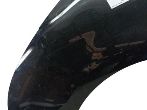 Left front fenders CITROËN C4 Picasso I MPV (UD_) 2.0 i 16V | BP30181331C41