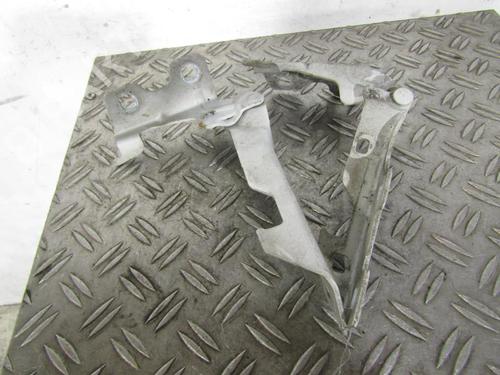 Hinge/Door check strap RENAULT CLIO II (BB_, CB_)  | BP25080392C146 