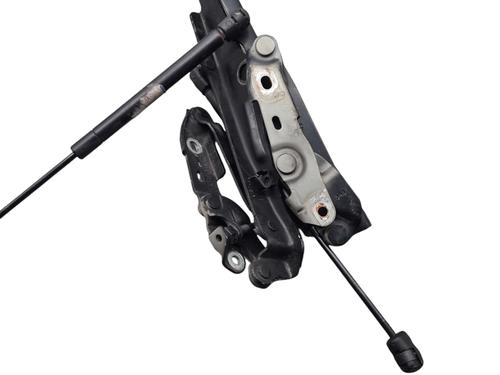 Hinge/Door check strap CHRYSLER 300C (LX, LE) 3.0 CRD | BP25056406C146 