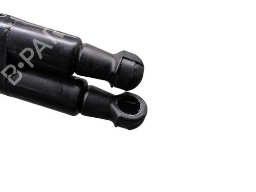 Tailgate lift support RENAULT TWINGO II (CN0_) 1.2 16V (CN04, CN0B) | BP31074802C138 