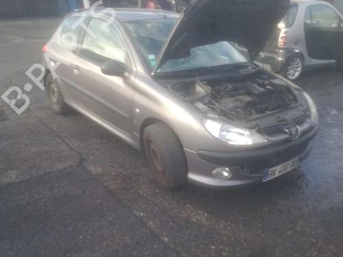 Dør højre fortil PEUGEOT 206 Hatchback (2A/C)  | BP25078261C3 