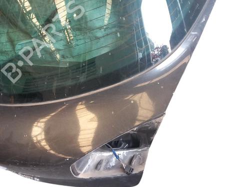 Tailgate RENAULT VEL SATIS (BJ0_) 2.2 dCi (BJ0E, BJ0F) | BP25074823C6 