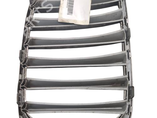 Grille BMW X1 (E84) xDrive 23 d | BP32207107C40